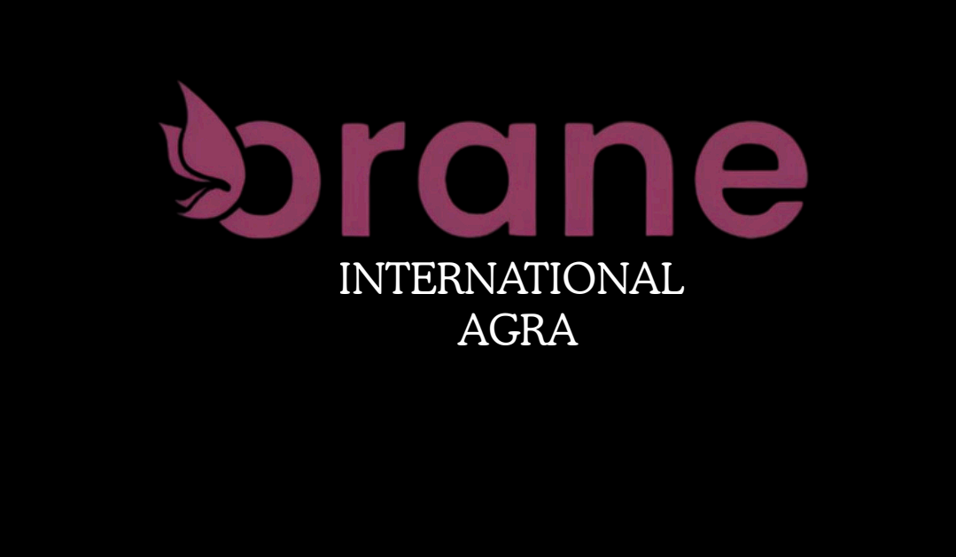 Aarambh Digital Agra Portfolio